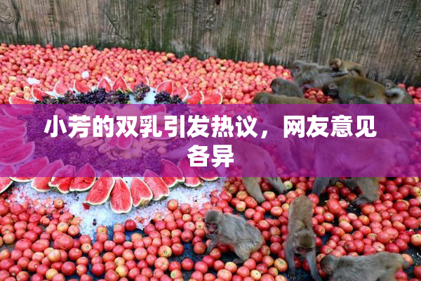 小芳的双乳引发热议，网友意见各异