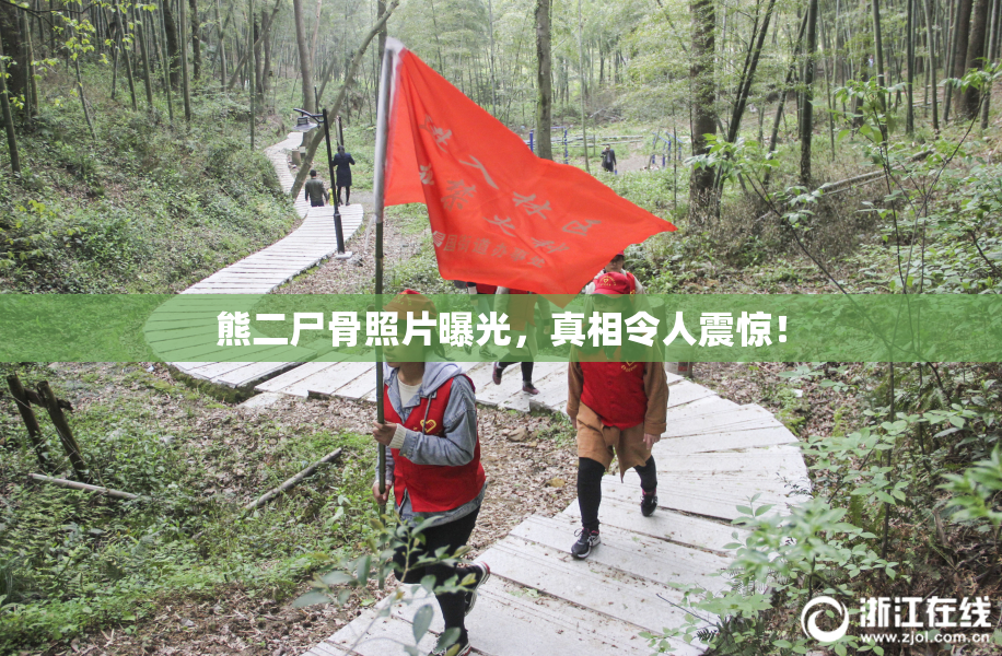 熊二尸骨照片曝光，真相令人震惊！