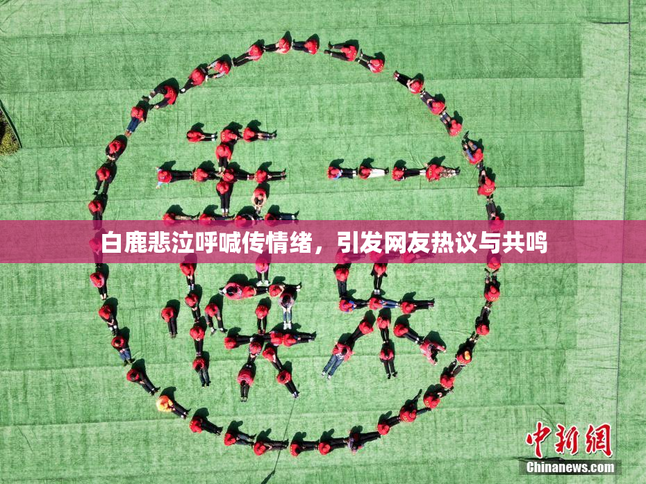 白鹿悲泣呼喊传情绪，引发网友热议与共鸣