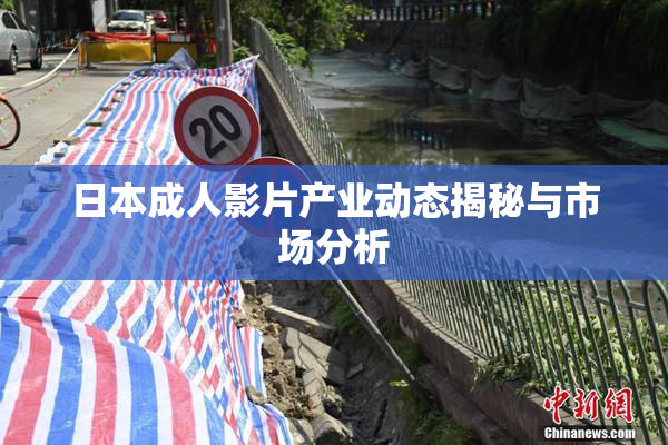 日本成人影片产业动态揭秘与市场分析