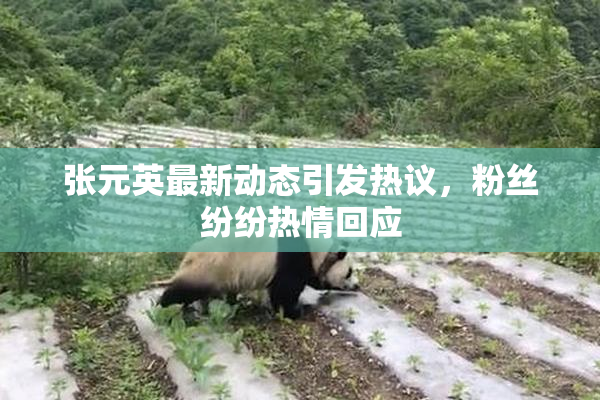 张元英最新动态引发热议，粉丝纷纷热情回应