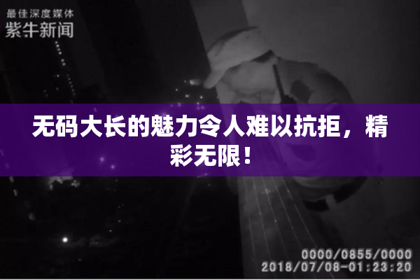 无码大长的魅力令人难以抗拒，精彩无限！