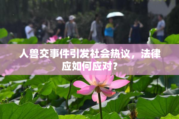 人兽交事件引发社会热议，法律应如何应对？