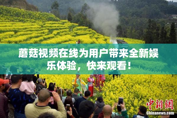 蘑菇视频在线为用户带来全新娱乐体验，快来观看！