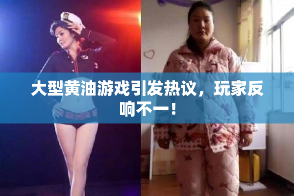 大型黄油游戏引发热议，玩家反响不一！