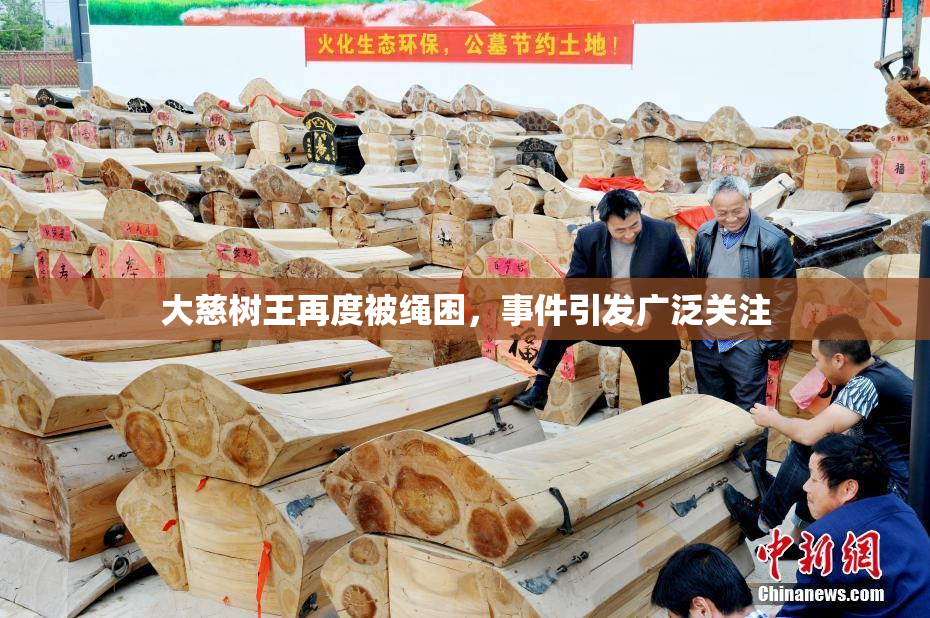 大慈树王再度被绳困，事件引发广泛关注