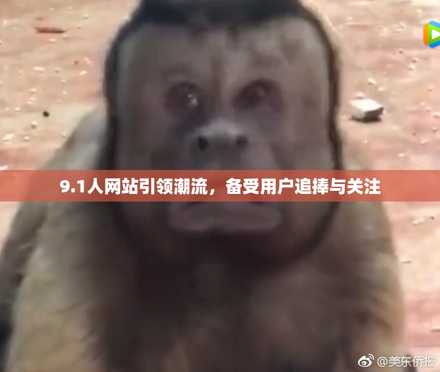 9.1人网站引领潮流，备受用户追捧与关注