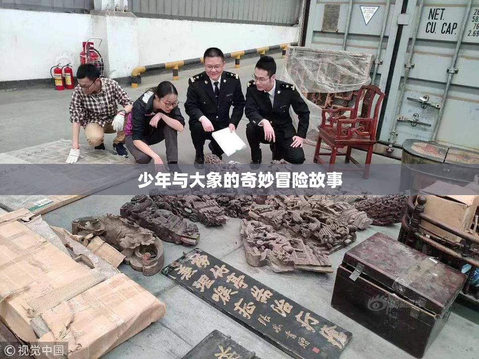 少年与大象的奇妙冒险故事