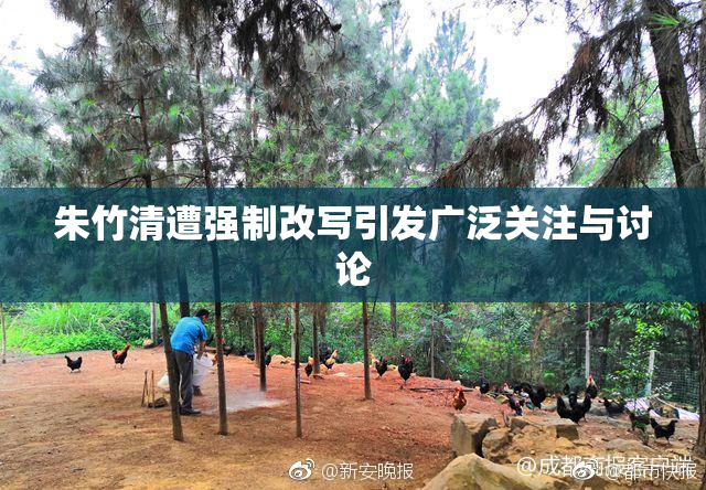 朱竹清遭强制改写引发广泛关注与讨论