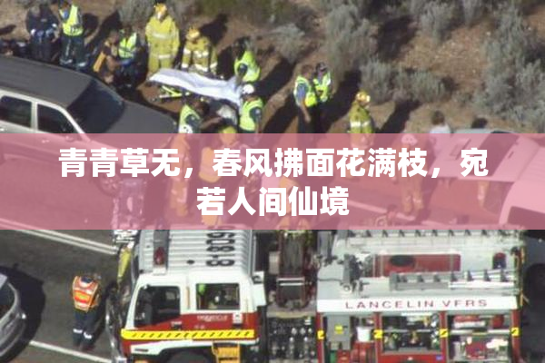 青青草无，春风拂面花满枝，宛若人间仙境