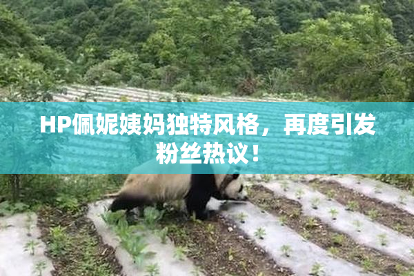 HP佩妮姨妈独特风格，再度引发粉丝热议！