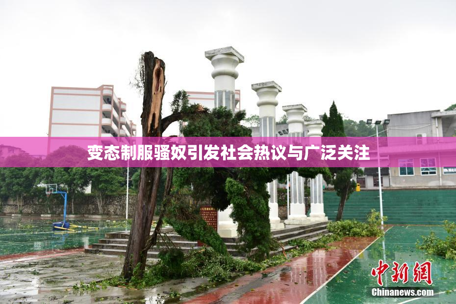 变态制服骚奴引发社会热议与广泛关注