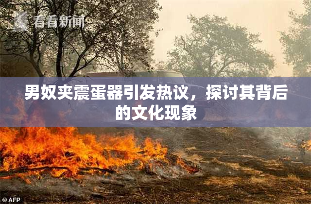 男奴夹震蛋器引发热议，探讨其背后的文化现象