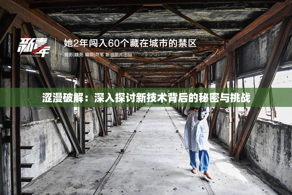 涩漫破解：深入探讨新技术背后的秘密与挑战
