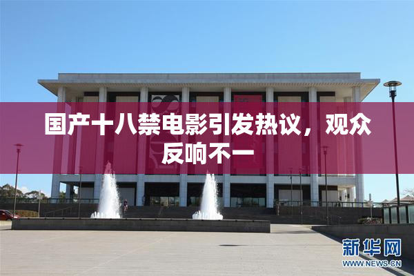 国产十八禁电影引发热议，观众反响不一