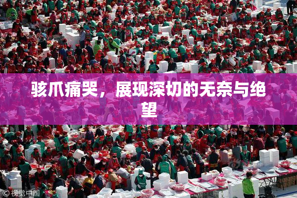 骇爪痛哭，展现深切的无奈与绝望