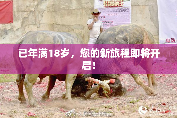 已年满18岁，您的新旅程即将开启！