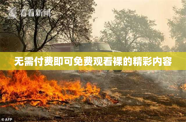 无需付费即可免费观看裸的精彩内容