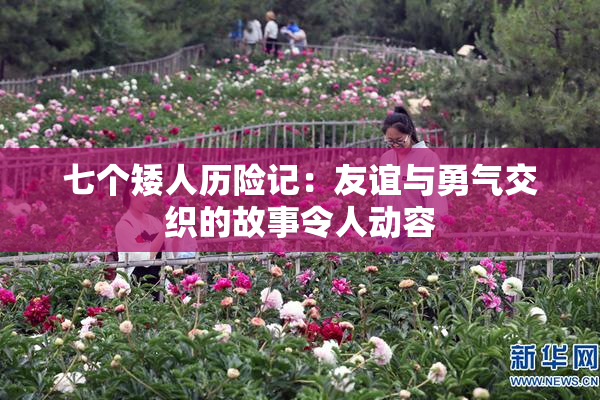 七个矮人历险记：友谊与勇气交织的故事令人动容