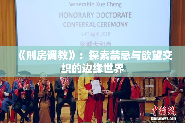 《刑房调教》：探索禁忌与欲望交织的边缘世界
