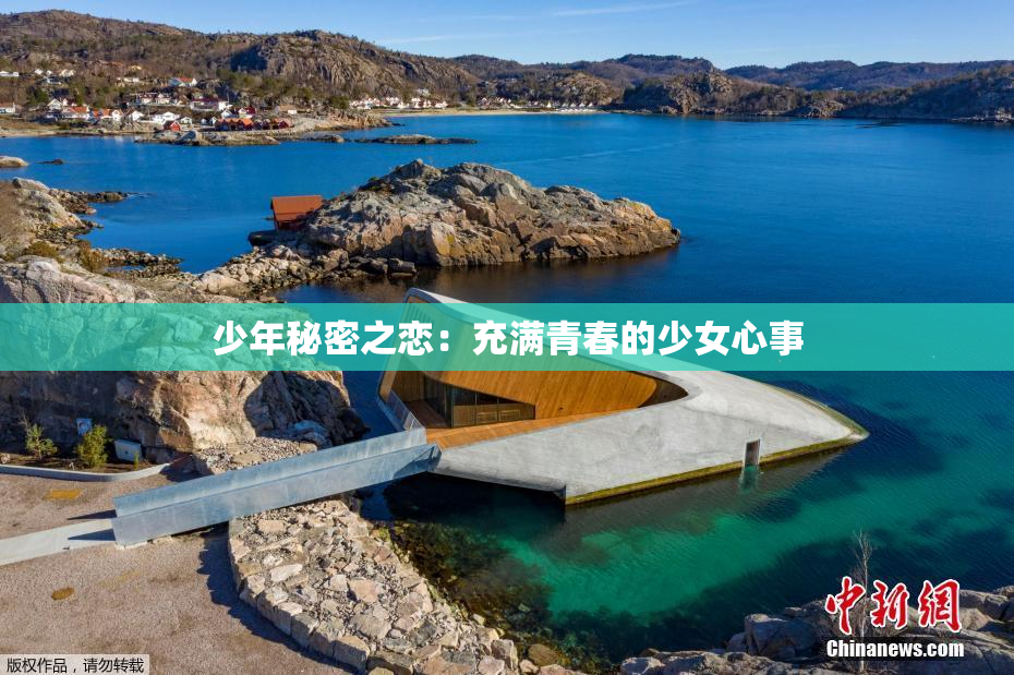 少年秘密之恋：充满青春的少女心事