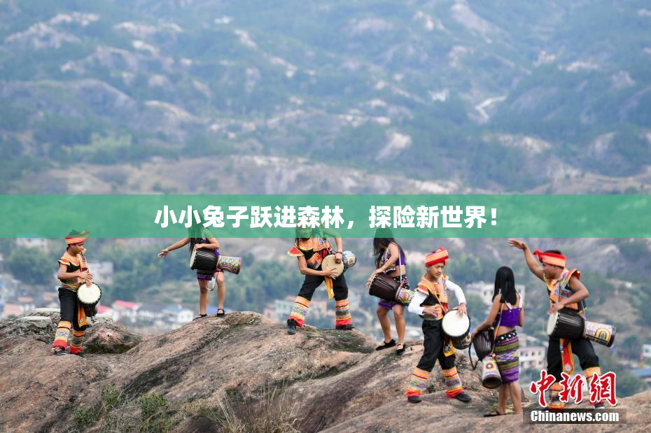 小小兔子跃进森林，探险新世界！