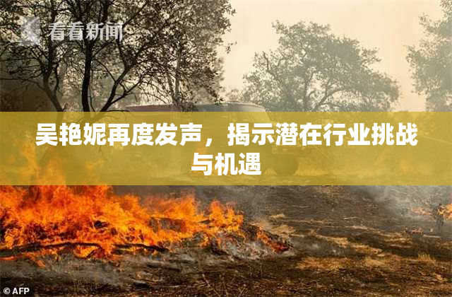 吴艳妮再度发声，揭示潜在行业挑战与机遇