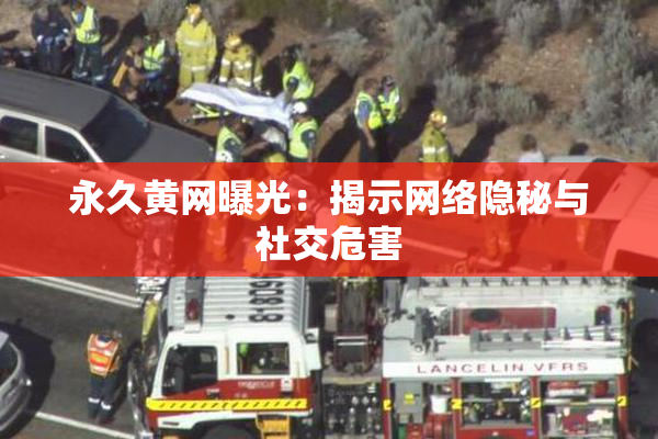 永久黄网曝光：揭示网络隐秘与社交危害