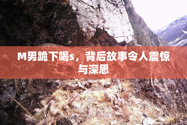 M男跪下喝s，背后故事令人震惊与深思