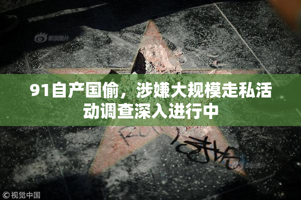 91自产国偷，涉嫌大规模走私活动调查深入进行中