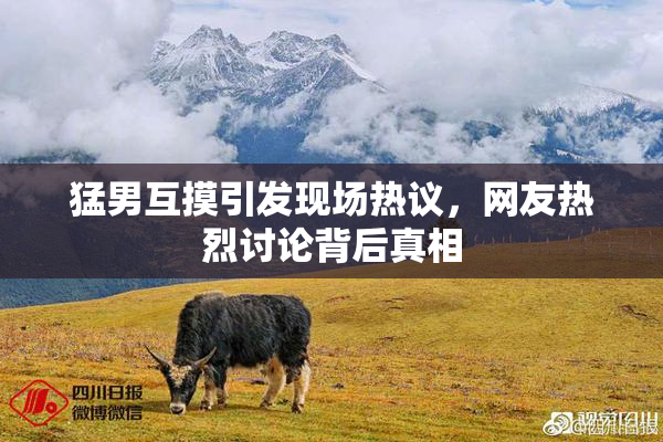 猛男互摸引发现场热议，网友热烈讨论背后真相
