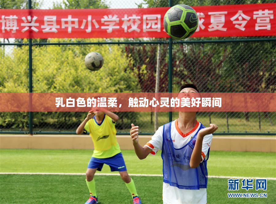 乳白色的温柔，触动心灵的美好瞬间