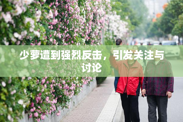 少萝遭到强烈反击，引发关注与讨论