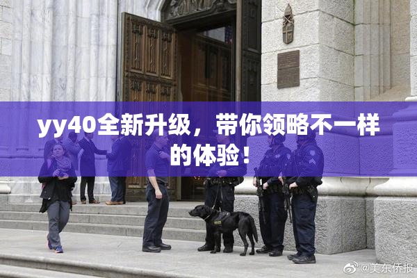 yy40全新升级，带你领略不一样的体验！