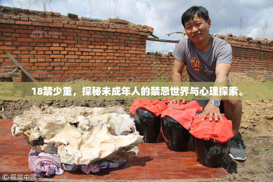 18禁少重，探秘未成年人的禁忌世界与心理探索。