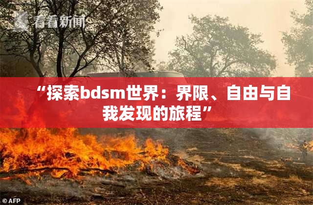 “探索bdsm世界：界限、自由与自我发现的旅程”