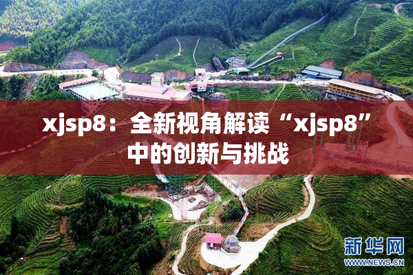 xjsp8：全新视角解读“xjsp8”中的创新与挑战