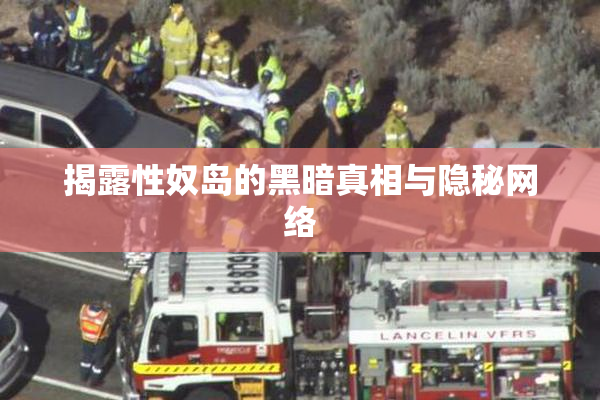 揭露性奴岛的黑暗真相与隐秘网络