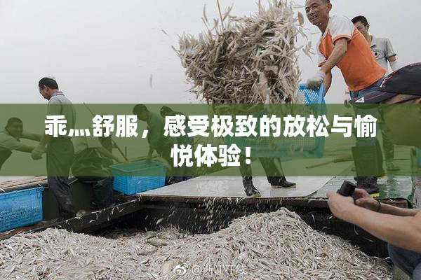 乖灬舒服，感受极致的放松与愉悦体验！