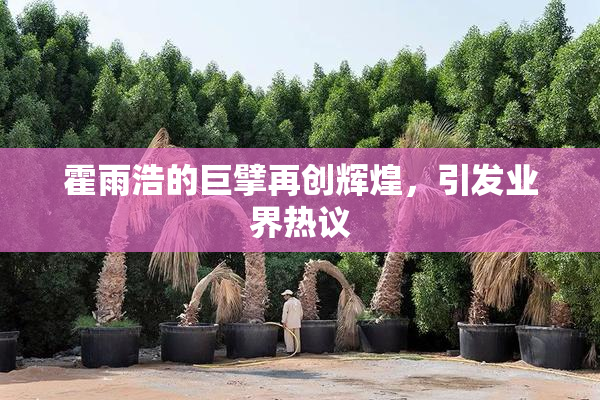 霍雨浩的巨擘再创辉煌，引发业界热议