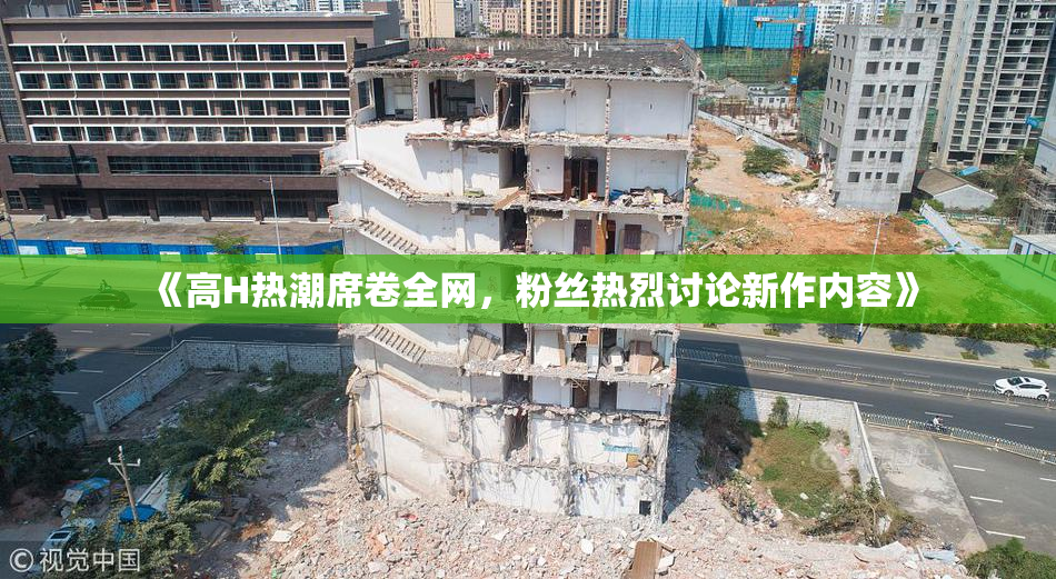 《高H热潮席卷全网，粉丝热烈讨论新作内容》