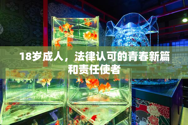 18岁成人，法律认可的青春新篇和责任使者