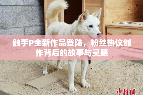 触手P全新作品登陆，粉丝热议创作背后的故事与灵感