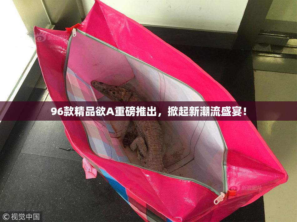 96款精品欲A重磅推出，掀起新潮流盛宴！