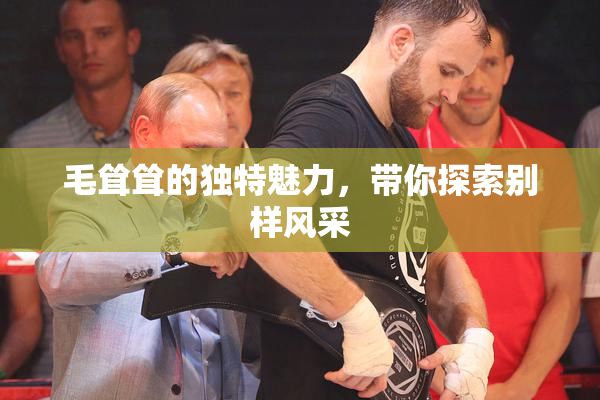 毛耸耸的独特魅力，带你探索别样风采