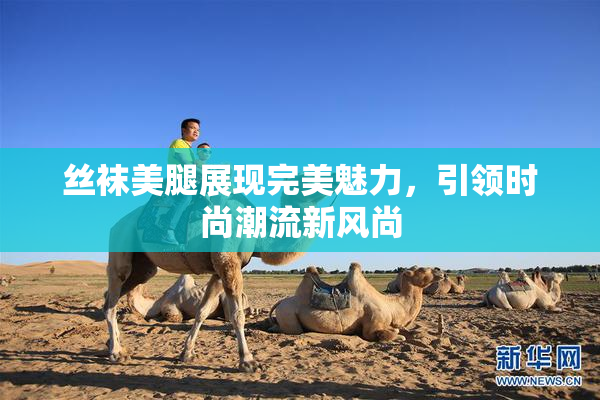 丝袜美腿展现完美魅力，引领时尚潮流新风尚