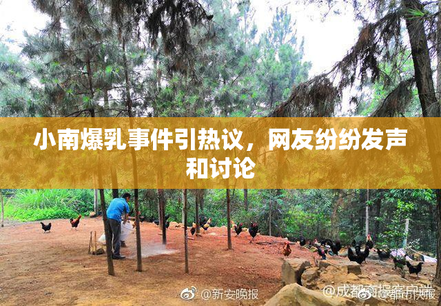 小南爆乳事件引热议，网友纷纷发声和讨论