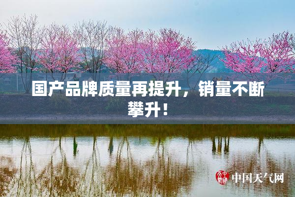 国产品牌质量再提升，销量不断攀升！