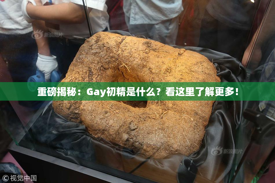 重磅揭秘：Gay初精是什么？看这里了解更多！