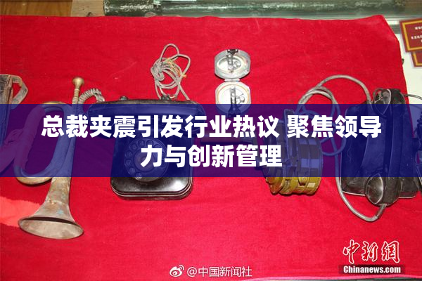 总裁夹震引发行业热议 聚焦领导力与创新管理